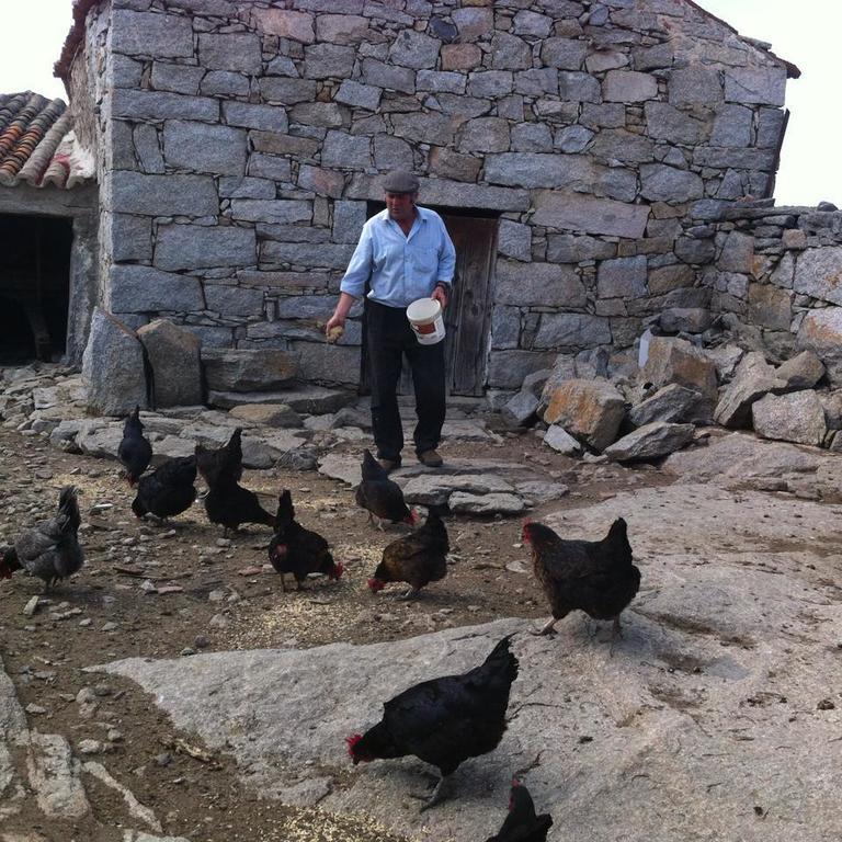 Casa Rural El Linaje De Los Cinco Sombreros Gallegos De San Vicente Exteriör bild